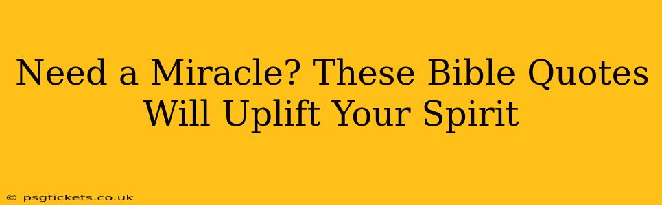 Need a Miracle? These Bible Quotes Will Uplift Your Spirit