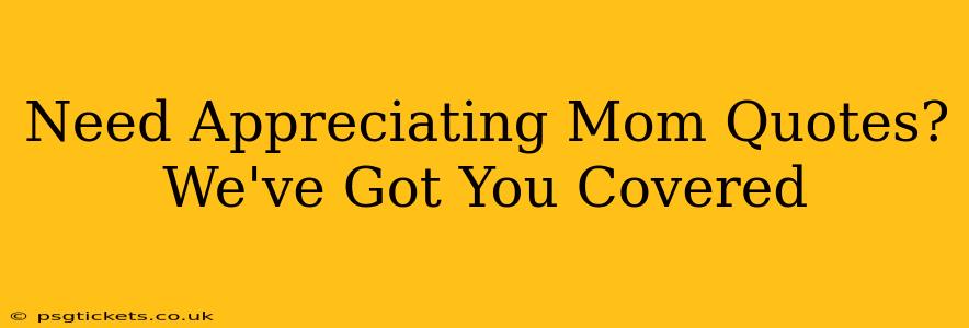 Need Appreciating Mom Quotes? We've Got You Covered
