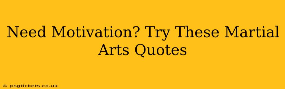Need Motivation? Try These Martial Arts Quotes