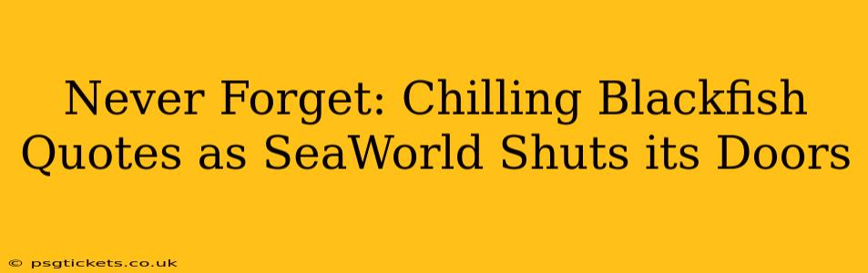 Never Forget: Chilling Blackfish Quotes as SeaWorld Shuts its Doors