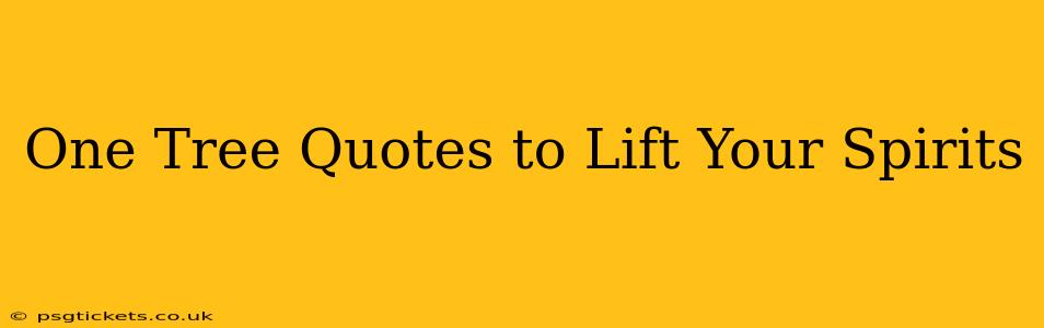 One Tree Quotes to Lift Your Spirits