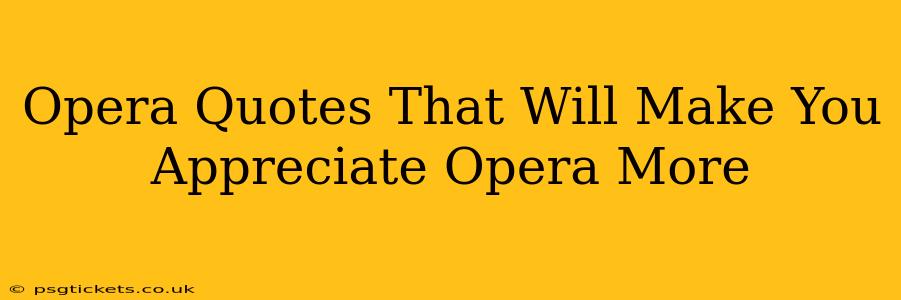 Opera Quotes That Will Make You Appreciate Opera More