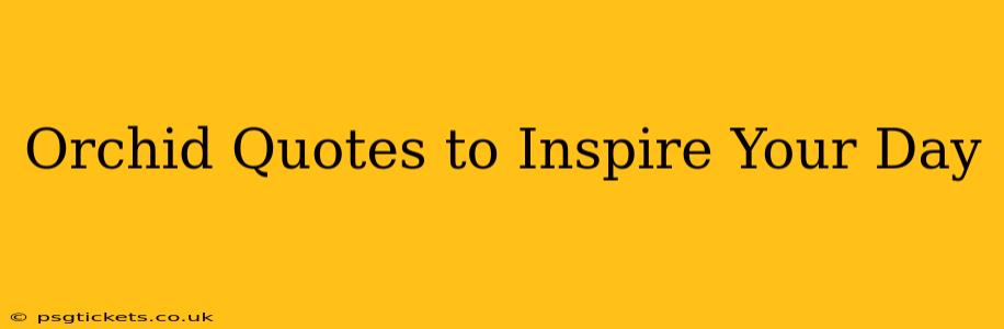 Orchid Quotes to Inspire Your Day