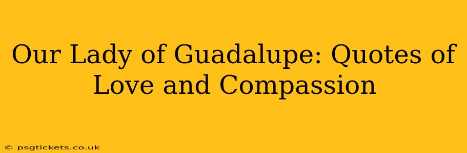 Our Lady of Guadalupe: Quotes of Love and Compassion