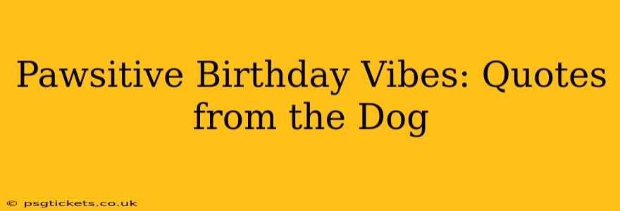 Pawsitive Birthday Vibes: Quotes from the Dog