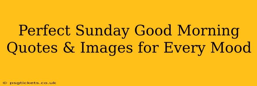 Perfect Sunday Good Morning Quotes & Images for Every Mood
