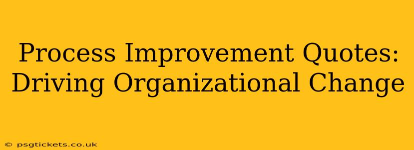 Process Improvement Quotes: Driving Organizational Change