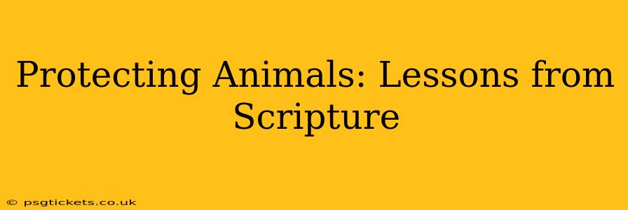 Protecting Animals: Lessons from Scripture