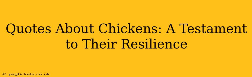 Quotes About Chickens: A Testament to Their Resilience