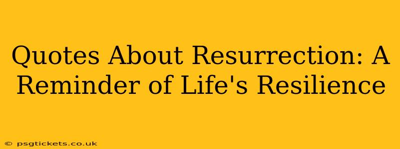 Quotes About Resurrection: A Reminder of Life's Resilience