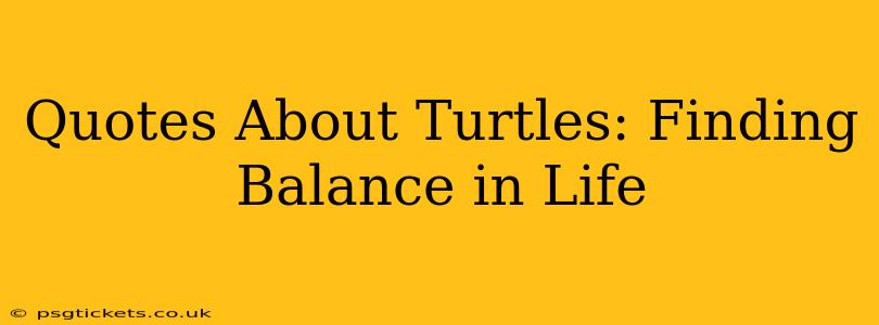 Quotes About Turtles: Finding Balance in Life