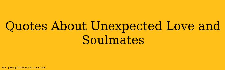 Quotes About Unexpected Love and Soulmates