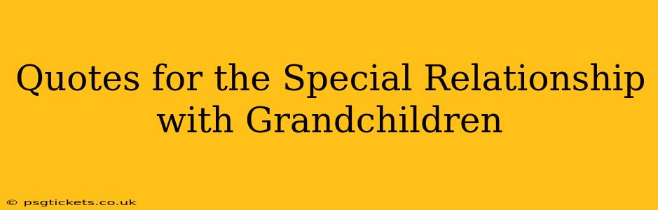 Quotes for the Special Relationship with Grandchildren
