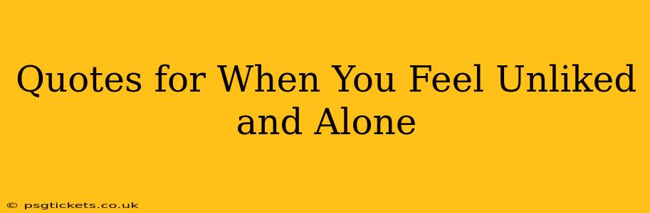Quotes for When You Feel Unliked and Alone