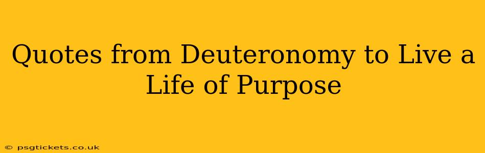 Quotes from Deuteronomy to Live a Life of Purpose