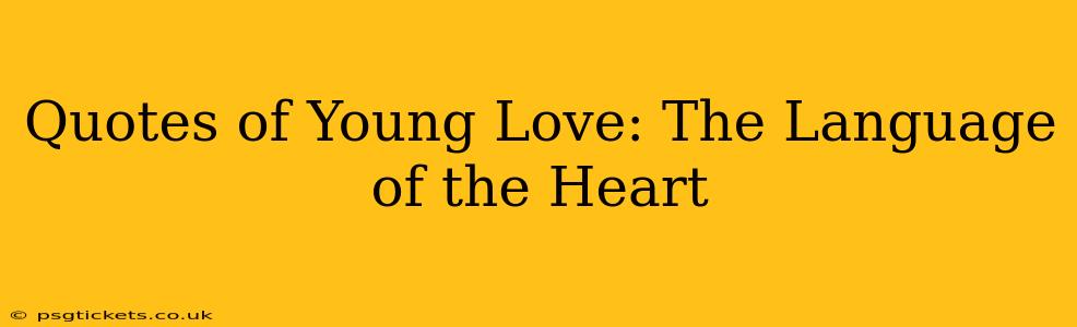 Quotes of Young Love: The Language of the Heart