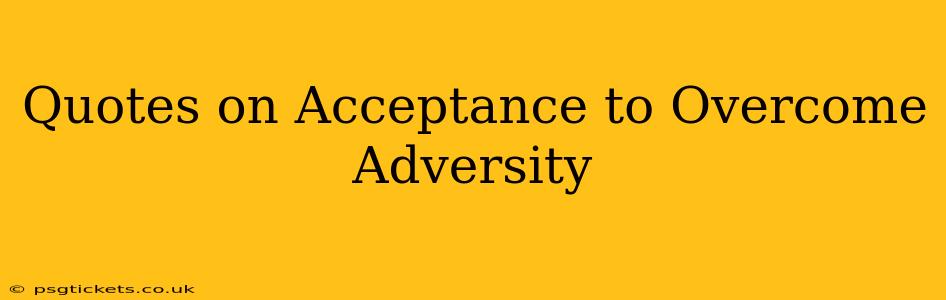Quotes on Acceptance to Overcome Adversity