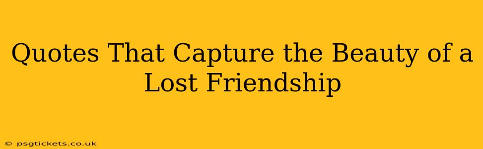 Quotes That Capture the Beauty of a Lost Friendship