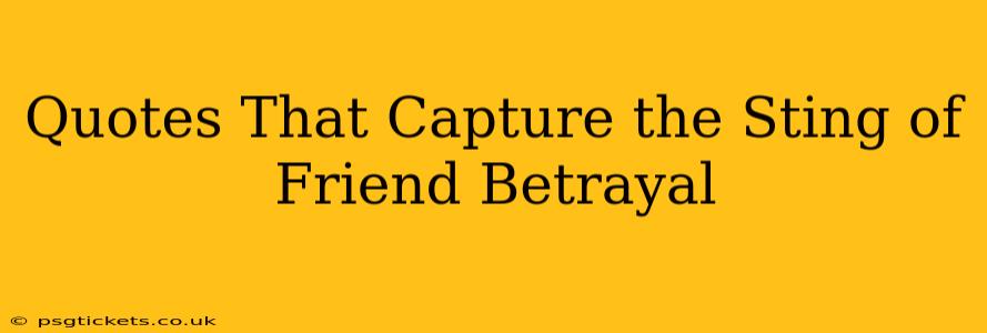 Quotes That Capture the Sting of Friend Betrayal