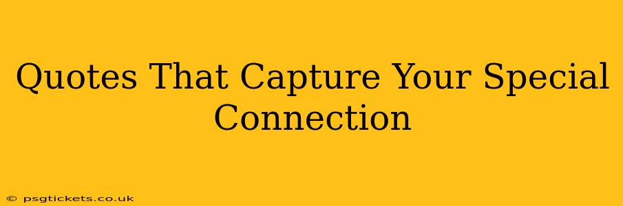 Quotes That Capture Your Special Connection
