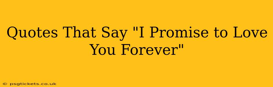 Quotes That Say "I Promise to Love You Forever"