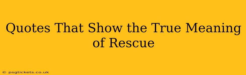 Quotes That Show the True Meaning of Rescue