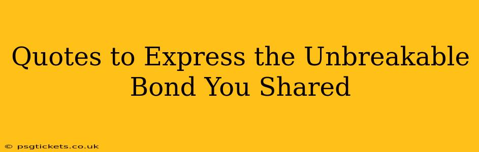 Quotes to Express the Unbreakable Bond You Shared