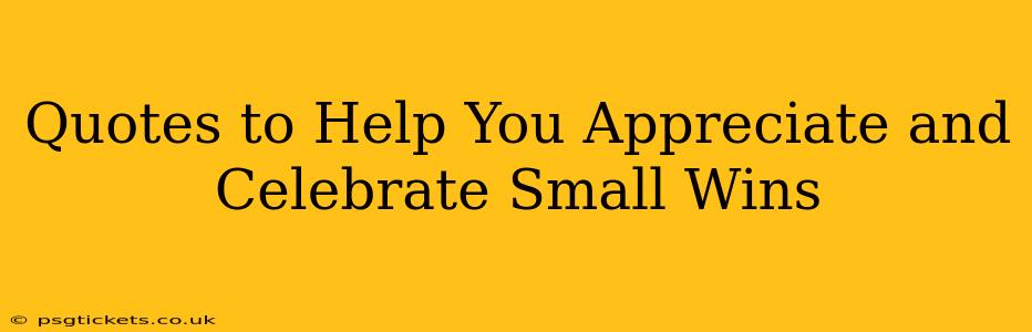 Quotes to Help You Appreciate and Celebrate Small Wins