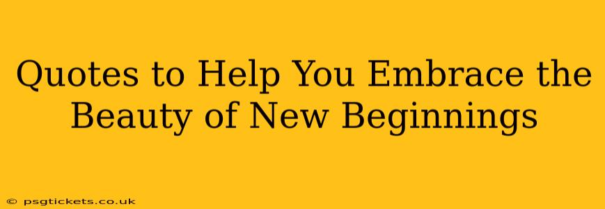Quotes to Help You Embrace the Beauty of New Beginnings