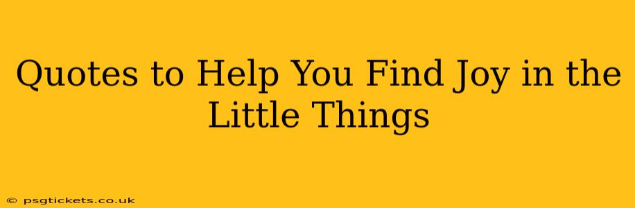 Quotes to Help You Find Joy in the Little Things