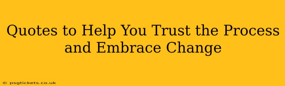 Quotes to Help You Trust the Process and Embrace Change