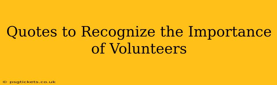Quotes to Recognize the Importance of Volunteers