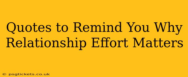 Quotes to Remind You Why Relationship Effort Matters