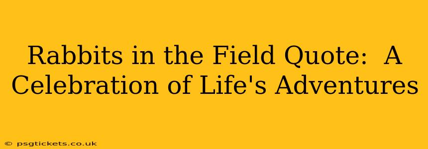 Rabbits in the Field Quote:  A Celebration of Life's Adventures
