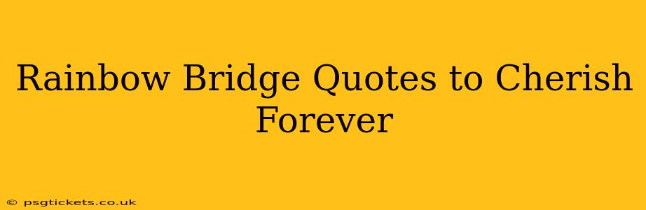 Rainbow Bridge Quotes to Cherish Forever