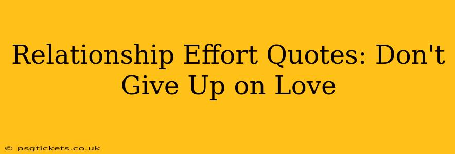 Relationship Effort Quotes: Don't Give Up on Love
