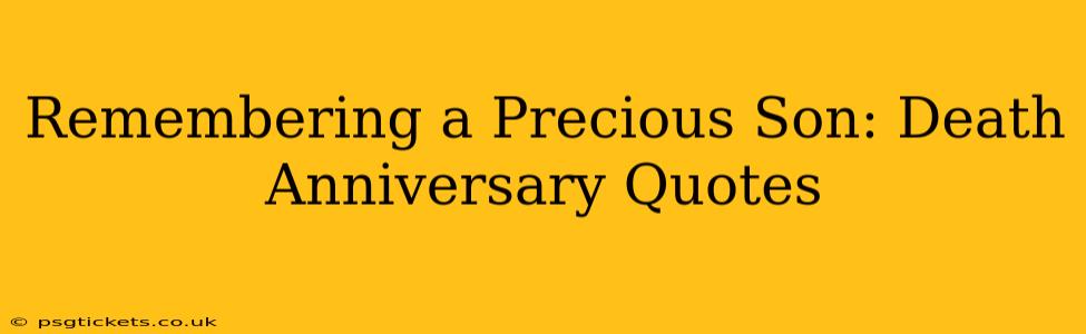 Remembering a Precious Son: Death Anniversary Quotes