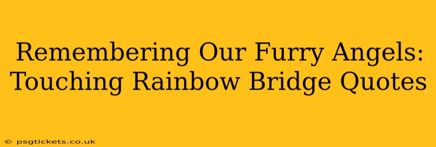 Remembering Our Furry Angels: Touching Rainbow Bridge Quotes