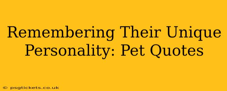 Remembering Their Unique Personality: Pet Quotes
