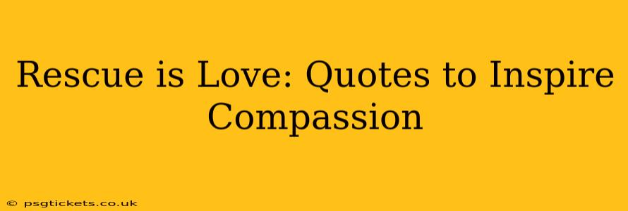 Rescue is Love: Quotes to Inspire Compassion