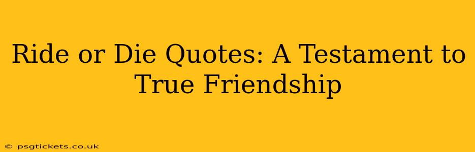 Ride or Die Quotes: A Testament to True Friendship