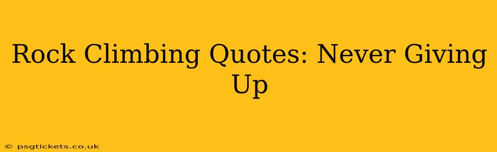 Rock Climbing Quotes: Never Giving Up