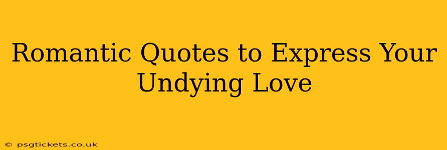 Romantic Quotes to Express Your Undying Love