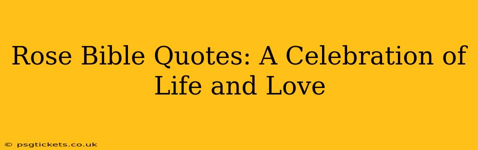 Rose Bible Quotes: A Celebration of Life and Love