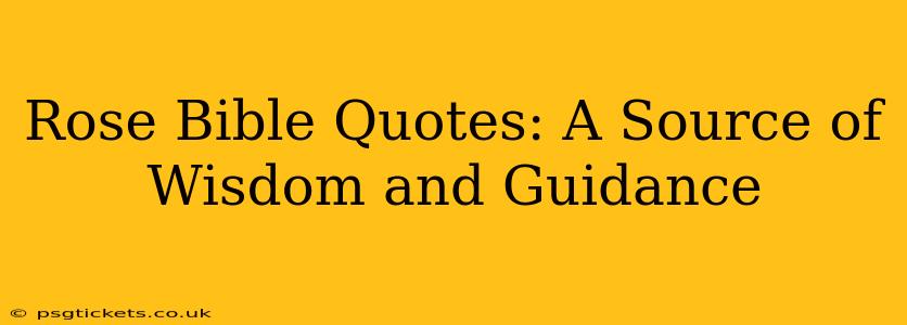 Rose Bible Quotes: A Source of Wisdom and Guidance