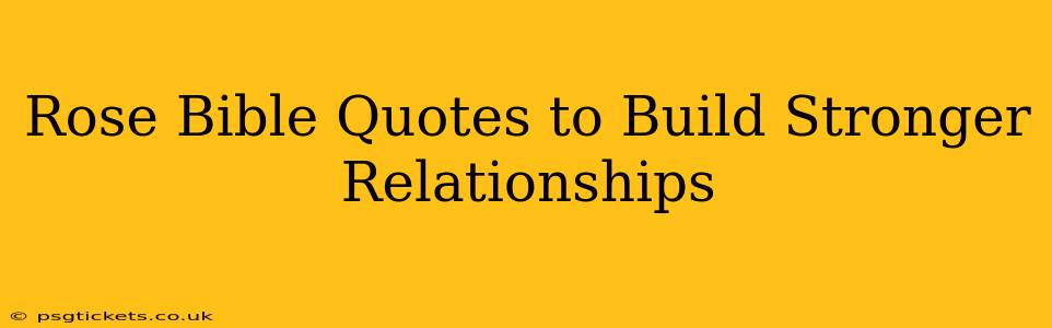 Rose Bible Quotes to Build Stronger Relationships