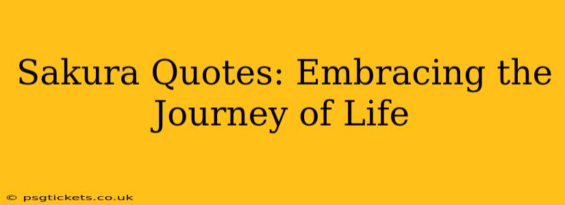 Sakura Quotes: Embracing the Journey of Life