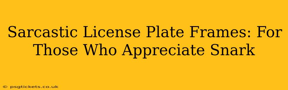 Sarcastic License Plate Frames: For Those Who Appreciate Snark
