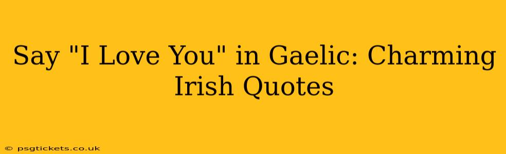 Say "I Love You" in Gaelic: Charming Irish Quotes
