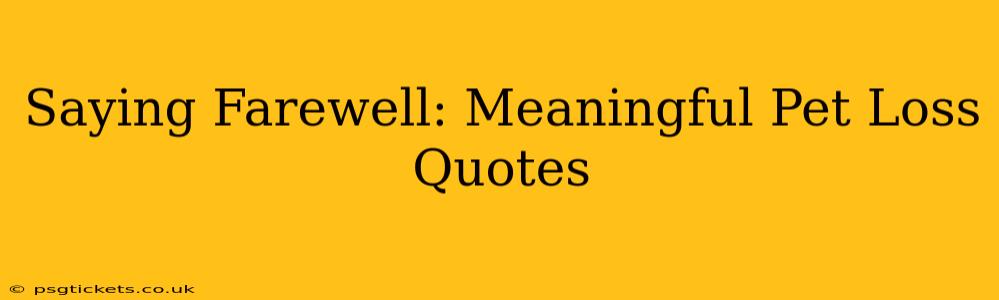 Saying Farewell: Meaningful Pet Loss Quotes